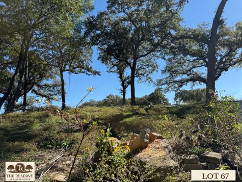 Lot 67 Camden Lane Springtown TX 76082