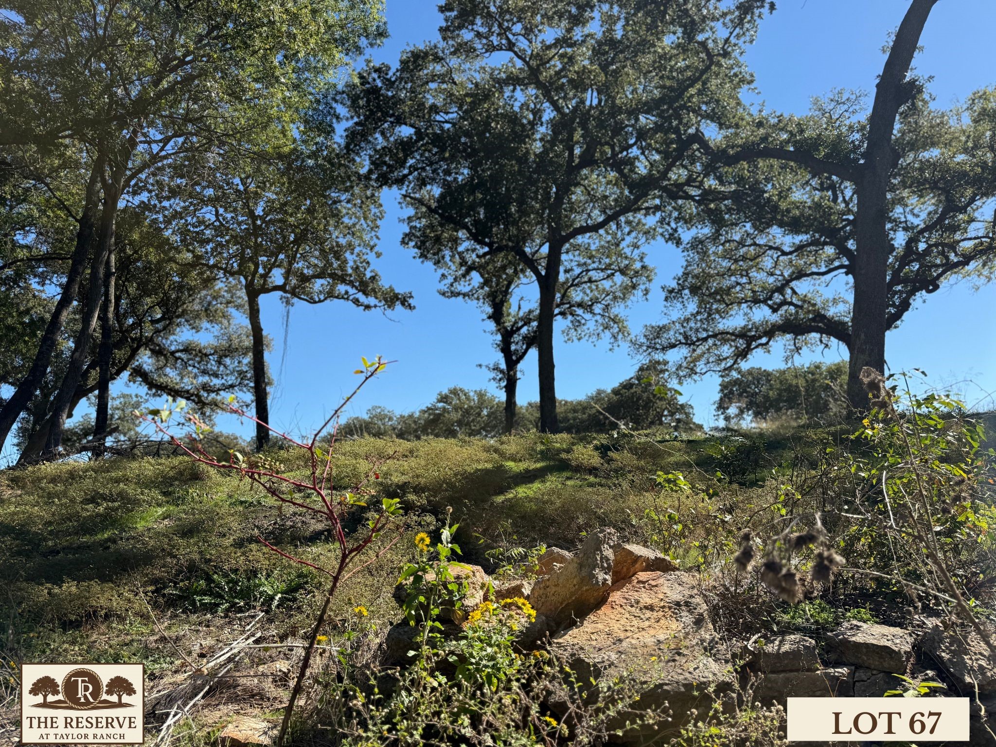 Lot 67 Camden Lane Springtown TX 76082