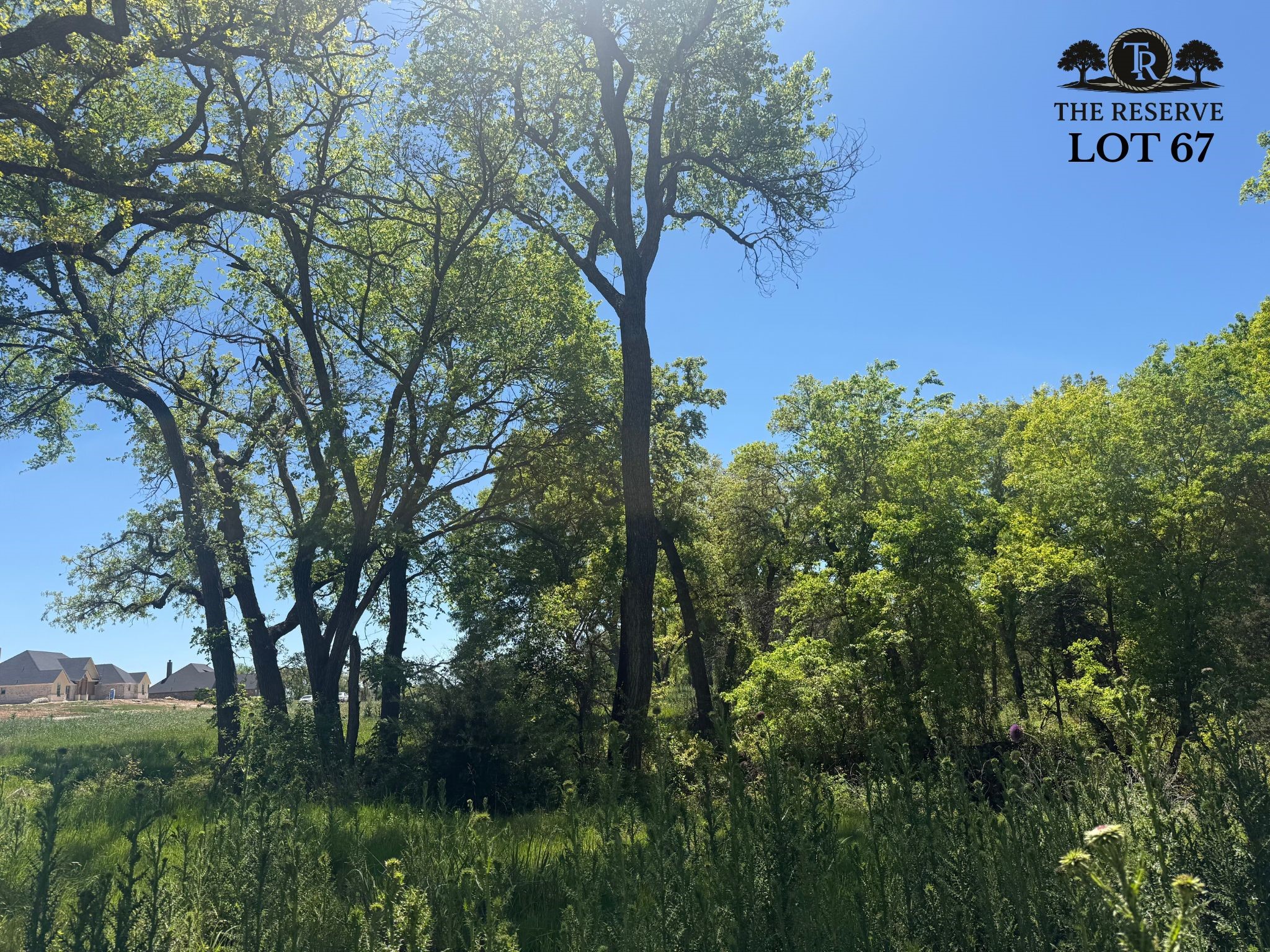 Lot 67 Camden Lane Springtown TX 76082