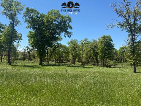 Lot 67 Camden Lane Springtown TX 76082