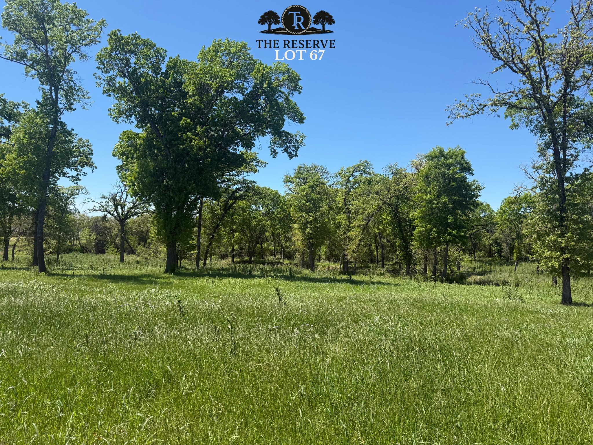 Lot 67 Camden Lane Springtown TX 76082
