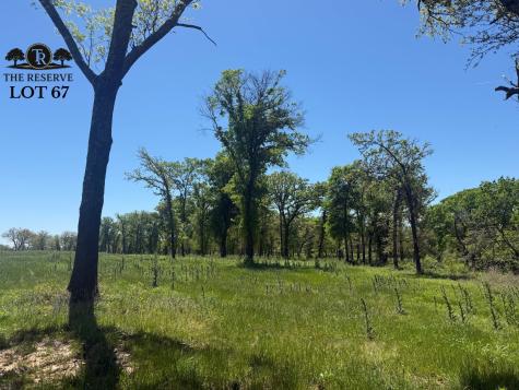 Lot 67 Camden Lane Springtown TX 76082