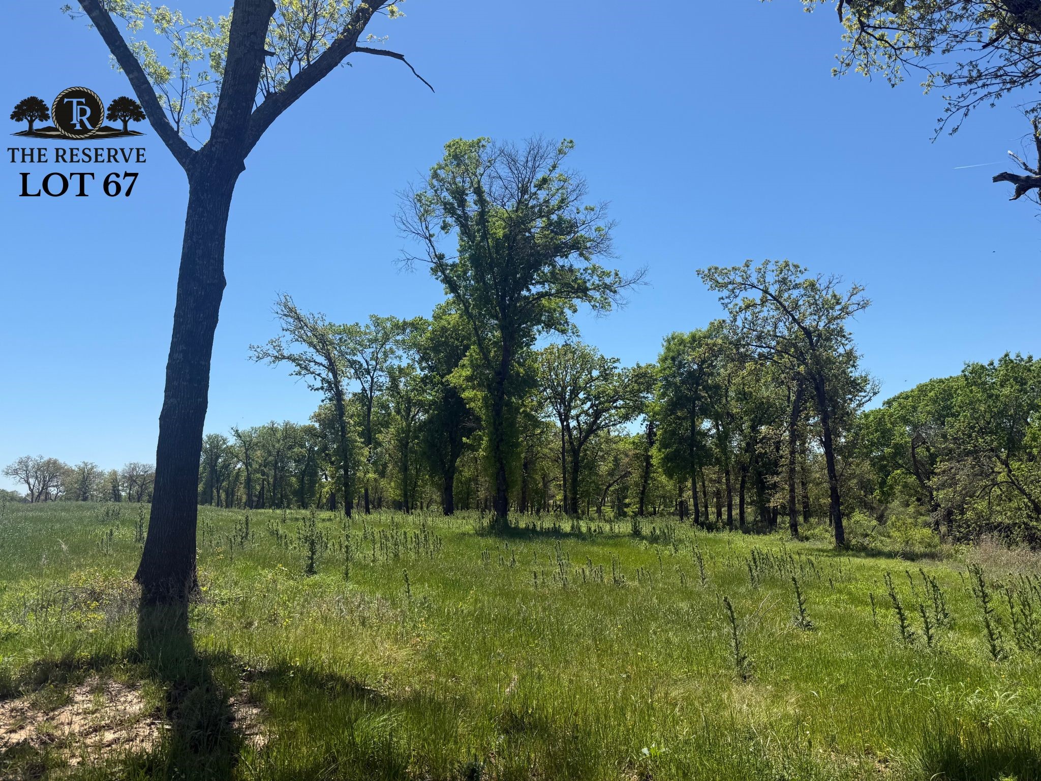 Lot 67 Camden Lane Springtown TX 76082