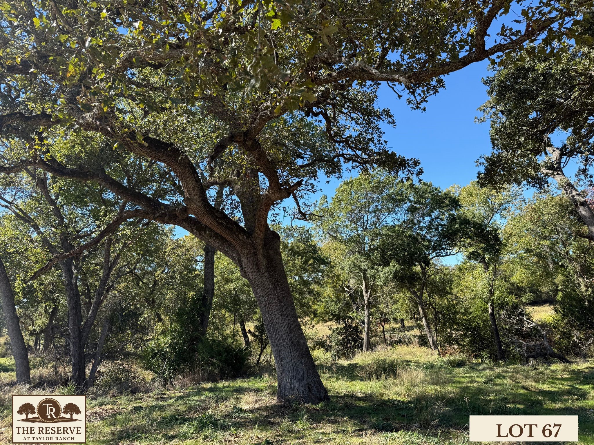 Lot 67 Camden Lane Springtown TX 76082
