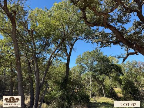 Lot 67 Camden Lane Springtown TX 76082