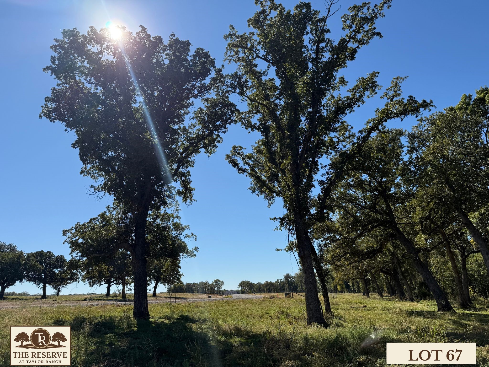 Lot 67 Camden Lane Springtown TX 76082