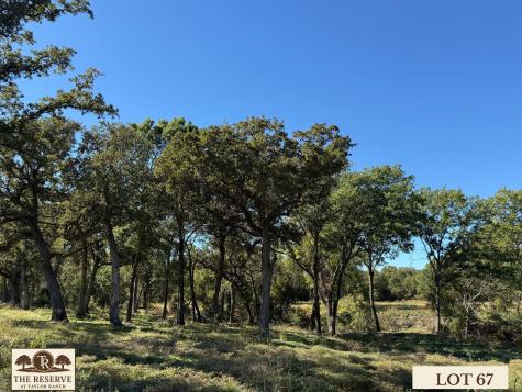 Lot 67 Camden Lane Springtown TX 76082