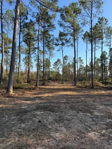 TBD-B County Road 216 Beckville TX 75631