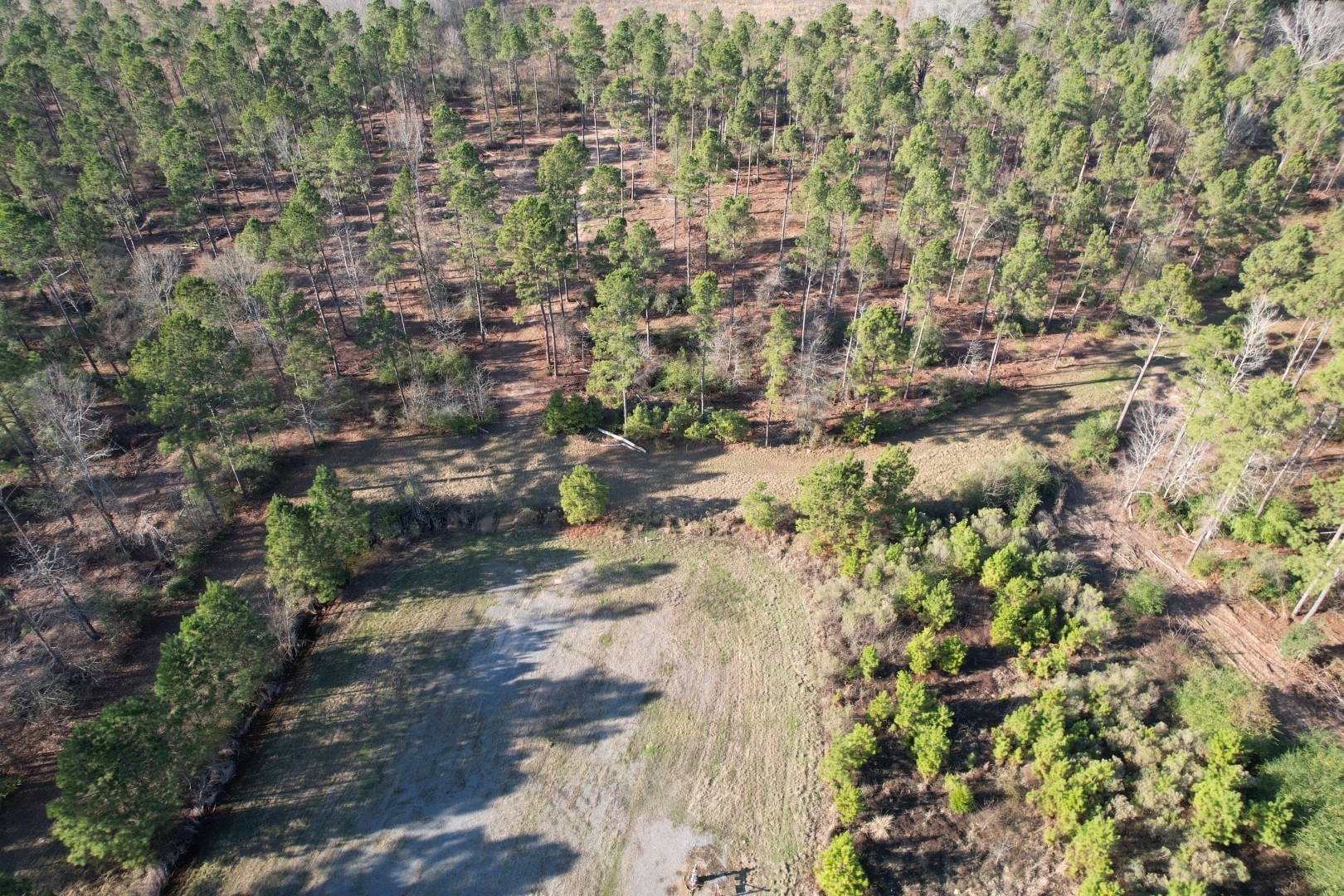 Tbd-b County Road 216 Beckville TX 75631