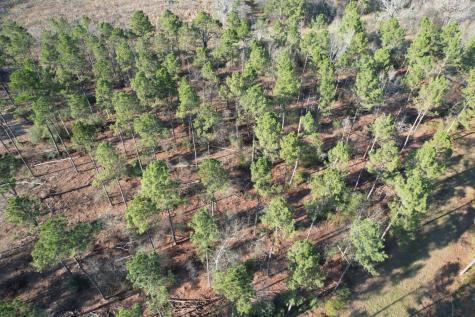 Tbd-b County Road 216 Beckville TX 75631
