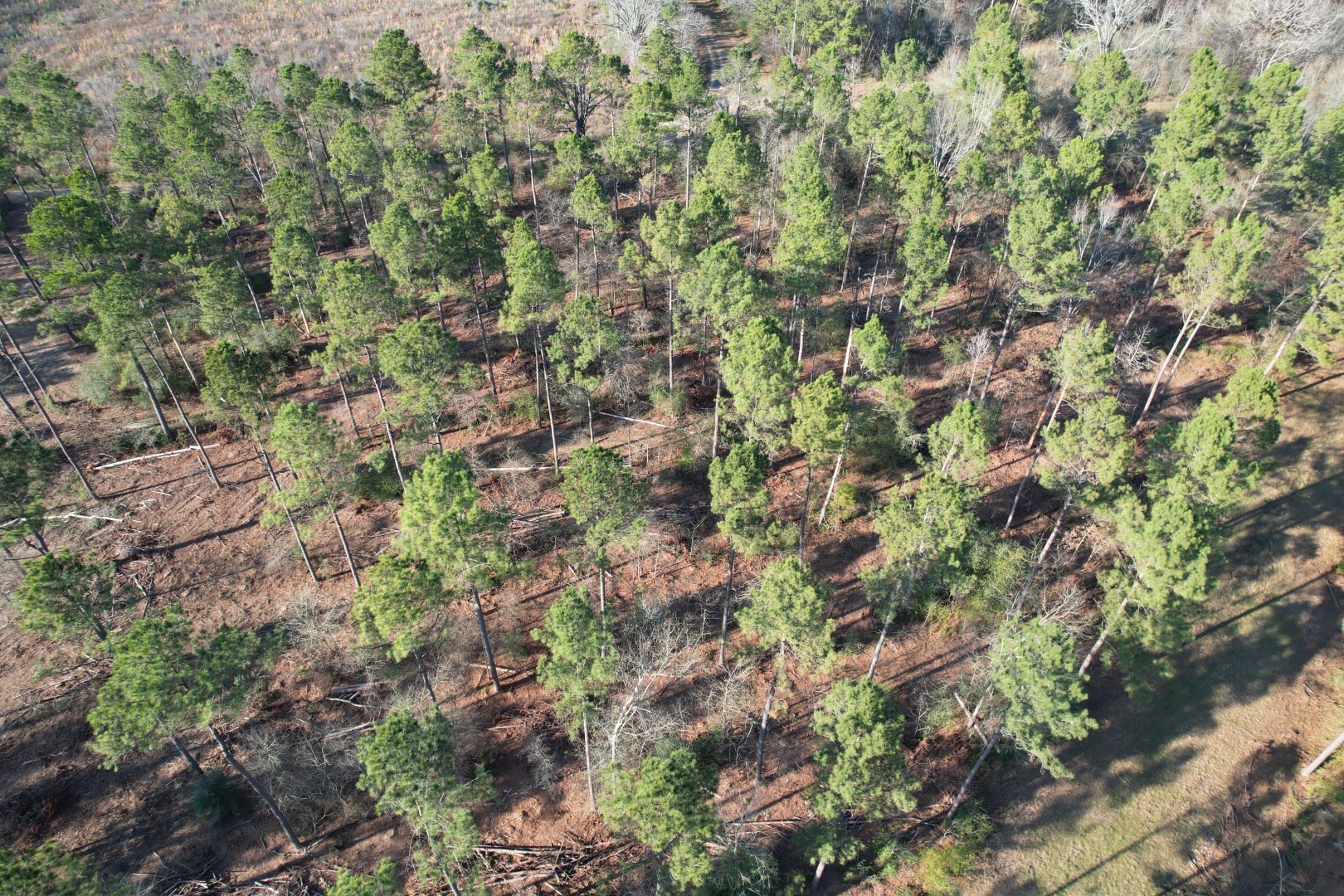 Tbd-b County Road 216 Beckville TX 75631