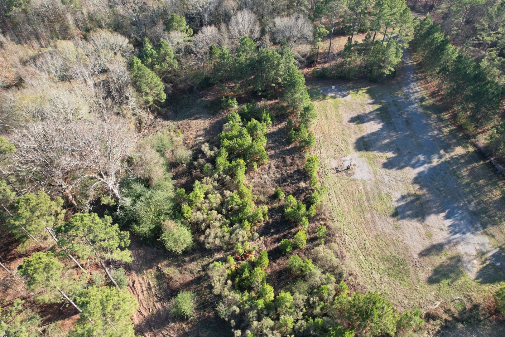 Tbd-b County Road 216 Beckville TX 75631