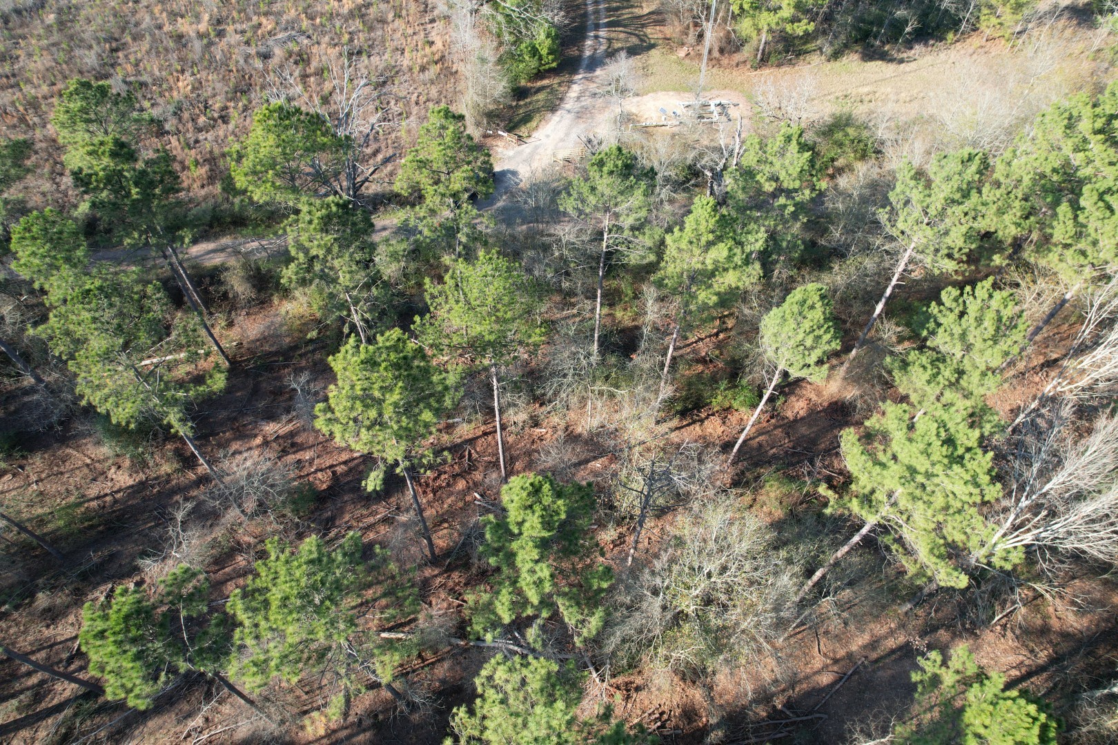 Tbd-b County Road 216 Beckville TX 75631