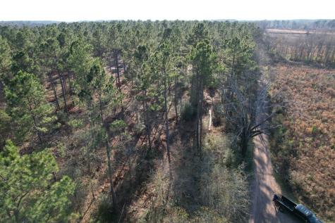 Tbd-b County Road 216 Beckville TX 75631