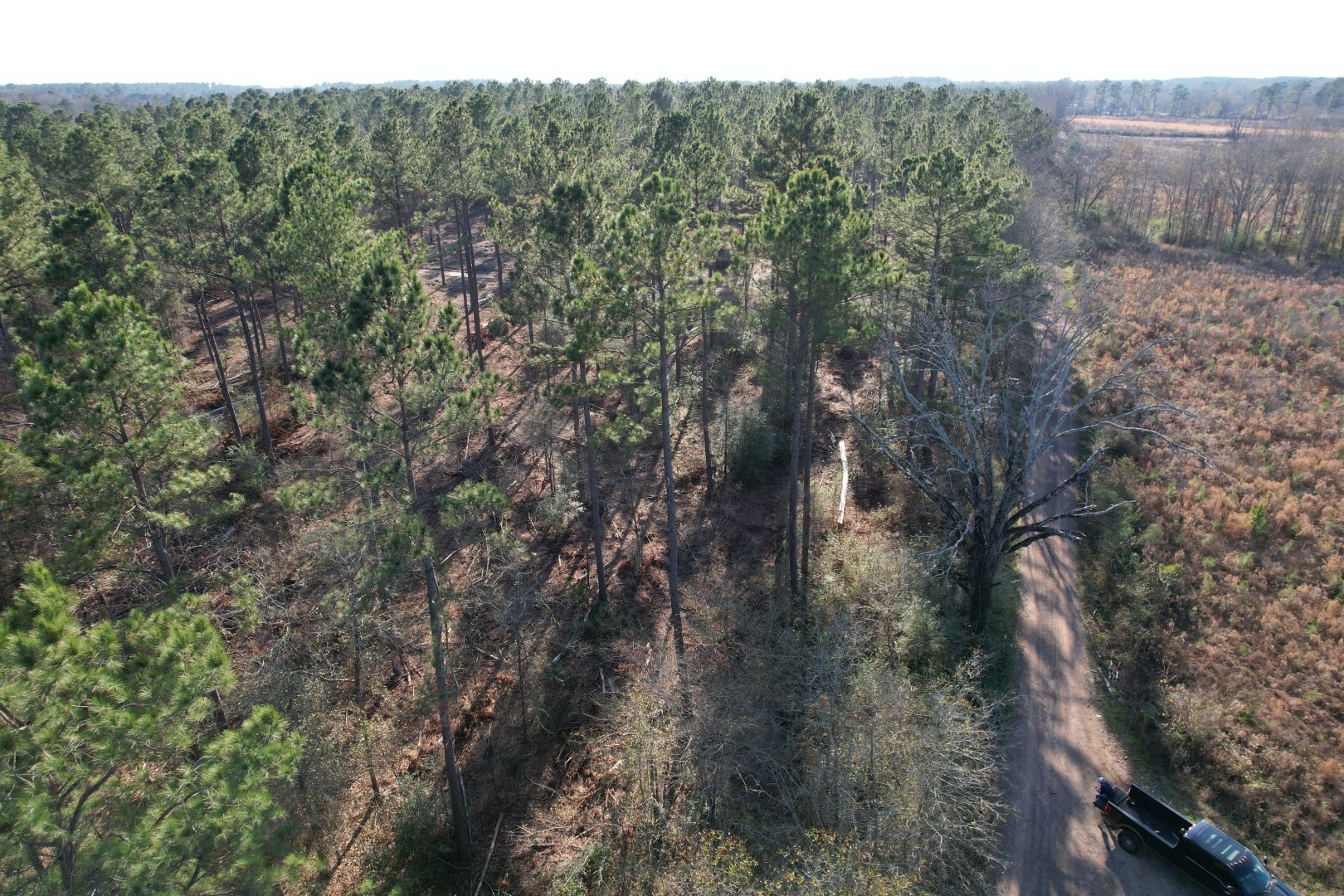Tbd-b County Road 216 Beckville TX 75631