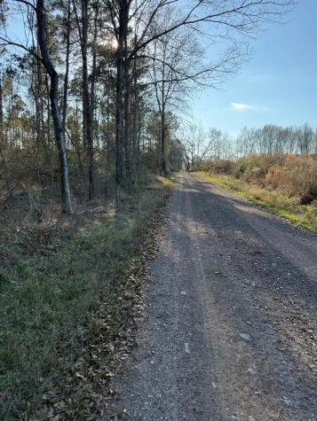 TBD-B County Road 216 Beckville TX 75631