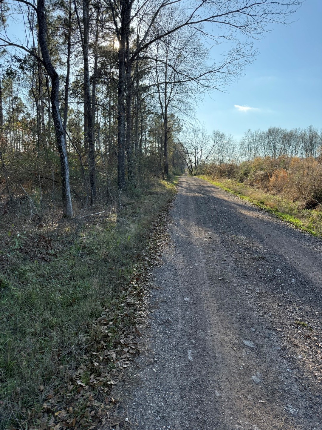 Tbd-b County Road 216 Beckville TX 75631