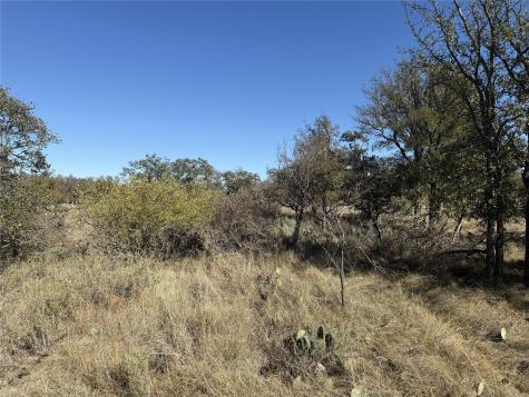 Tbd Harbor Drive May TX 76857