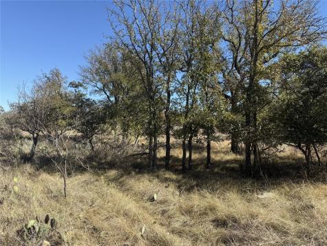 Tbd Harbor Drive May TX 76857