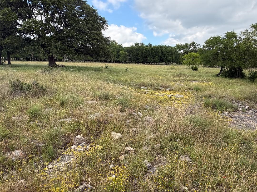 387 W Cr 1627 Avenue Meridian TX 76634