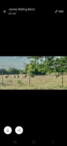 387 W Cr 1627 Avenue Meridian TX 76634