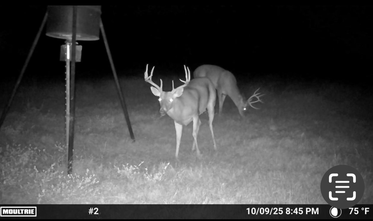 000 Fm 2909 Canton TX 75103