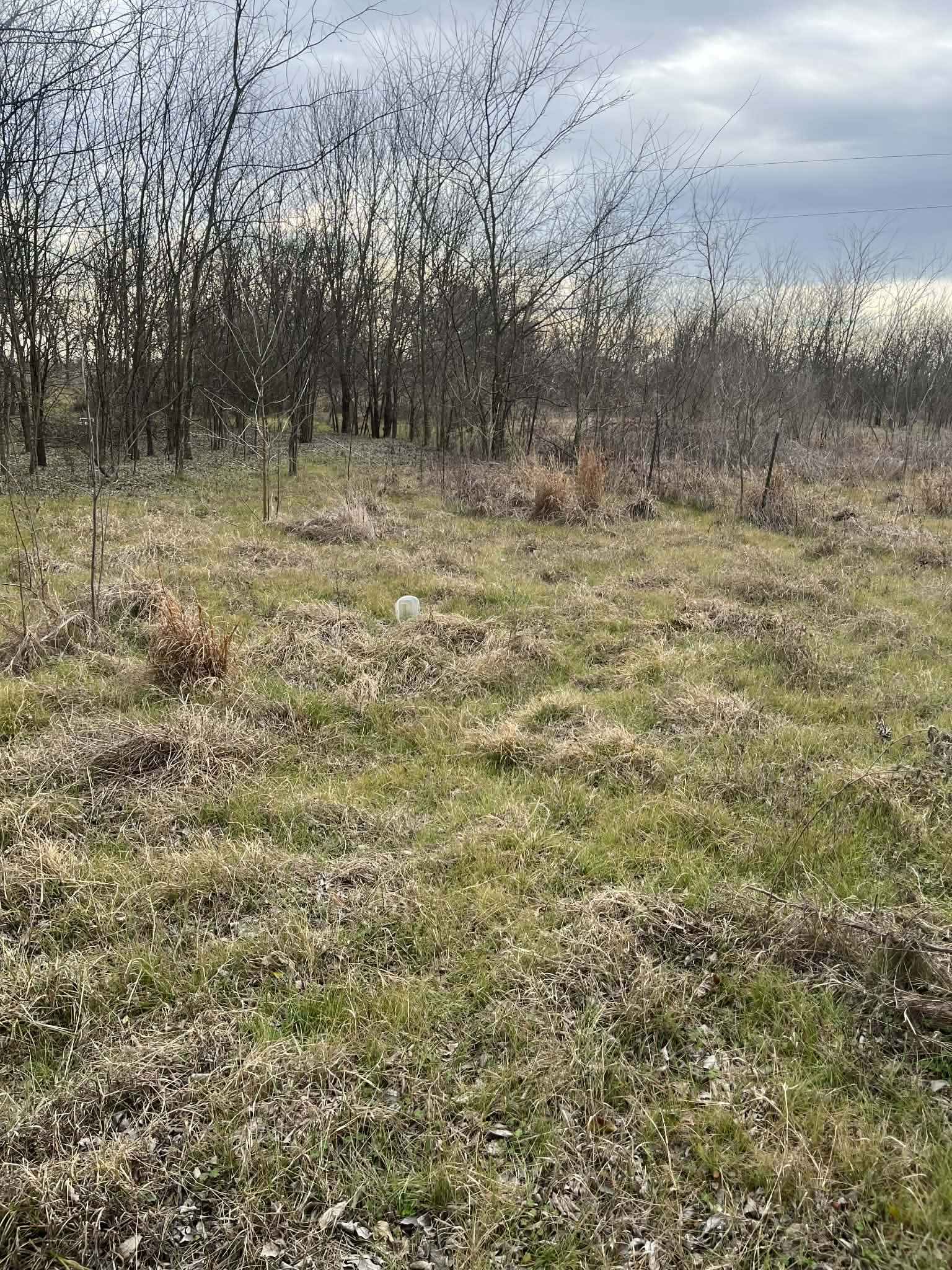 Tbd Cr 4762 Sulphur Springs TX 75482