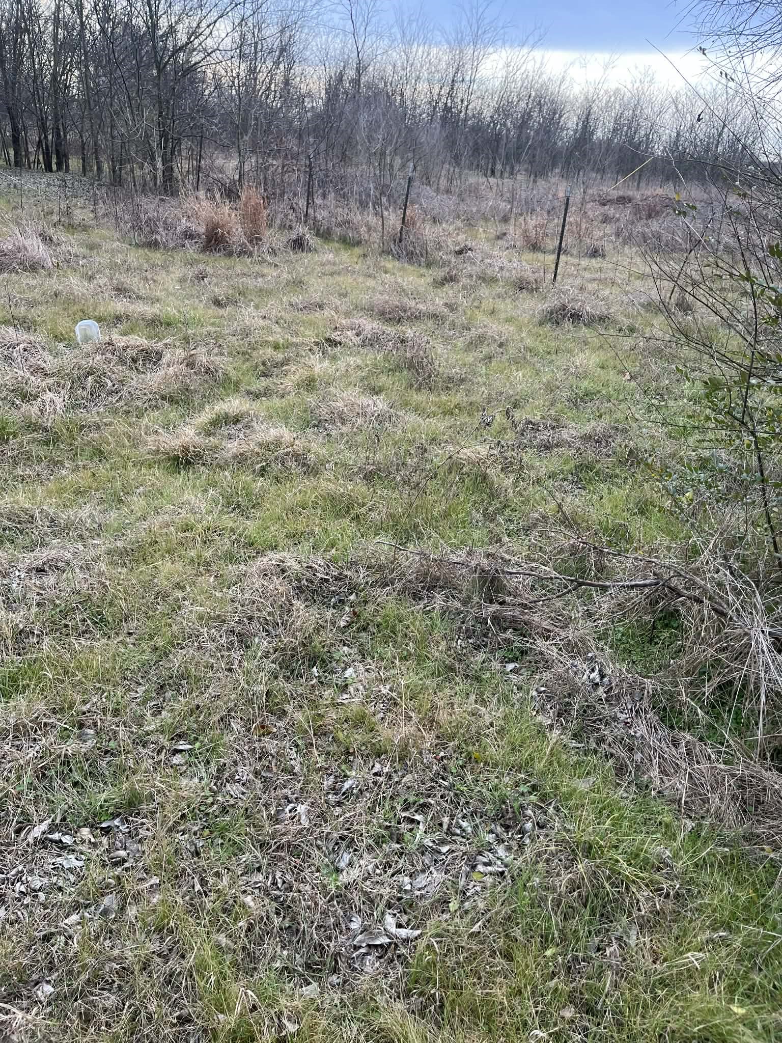 Tbd Cr 4762 Sulphur Springs TX 75482