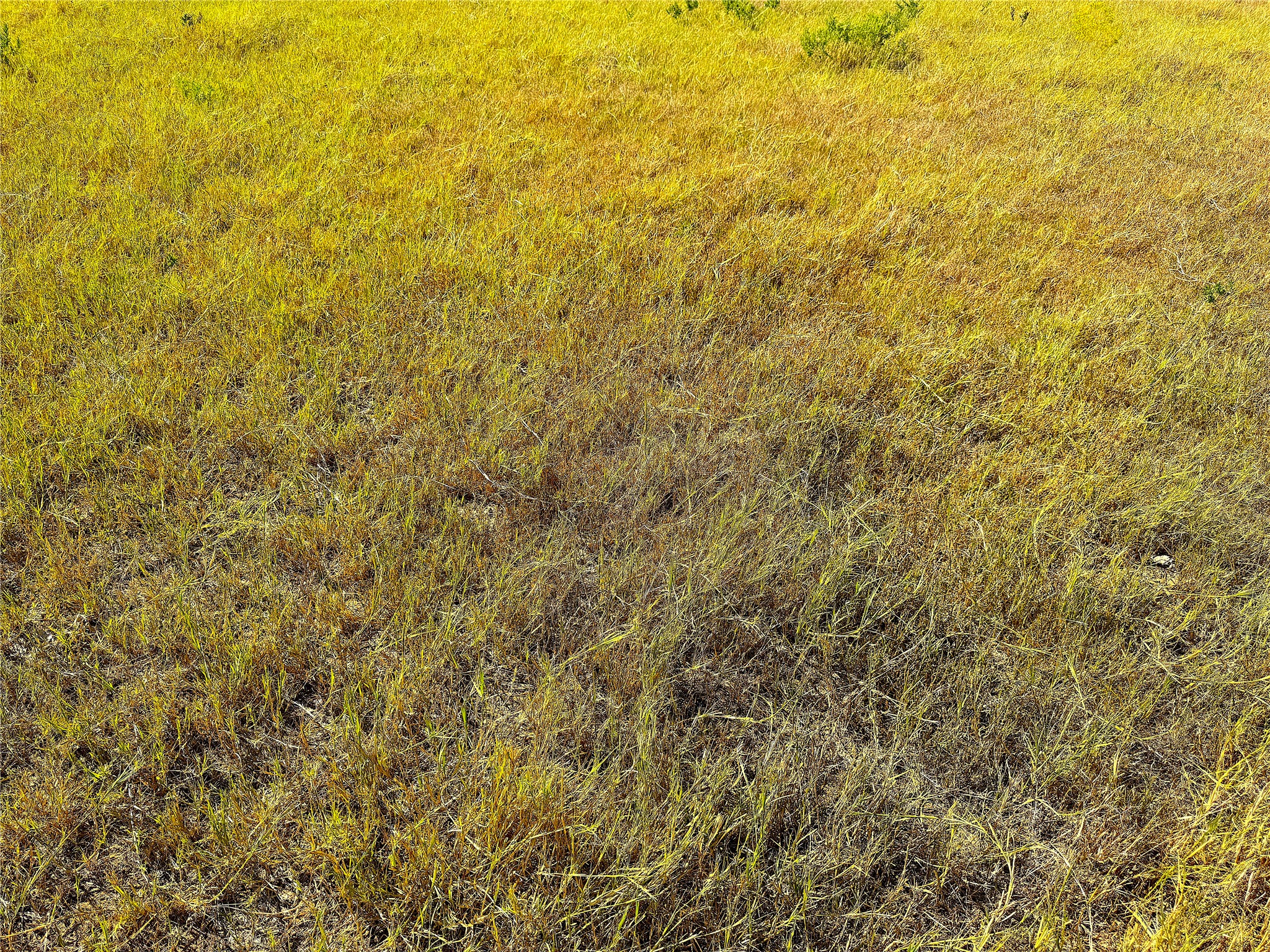 Tbd Tract 3 Hayes Road Mineral Wells TX 76067