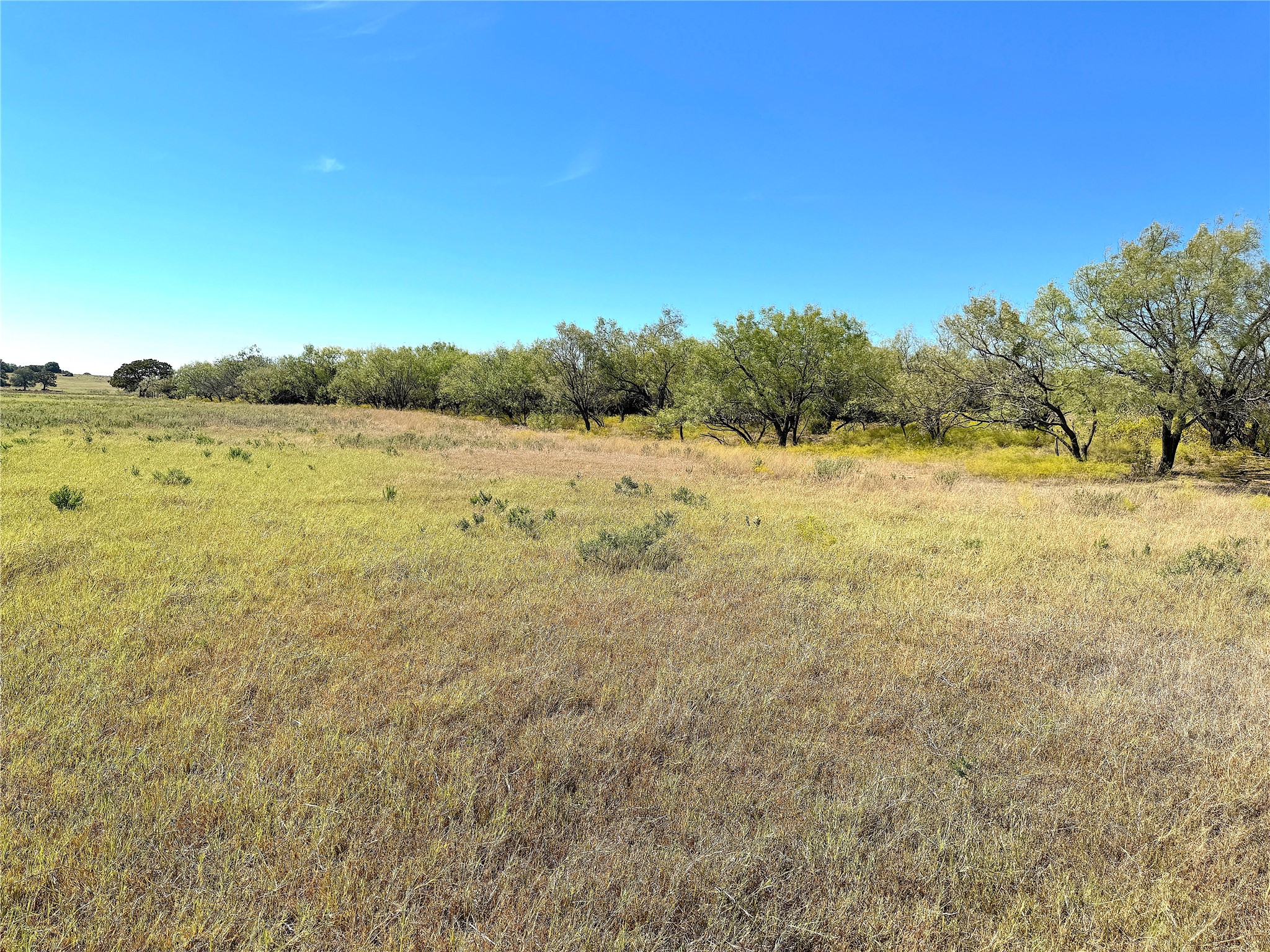 Tbd Tract 3 Hayes Road Mineral Wells TX 76067