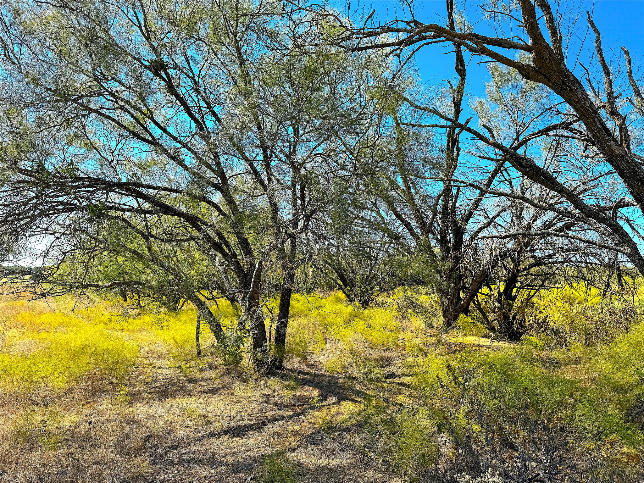 Tbd Tract 3 Hayes Road Mineral Wells TX 76067