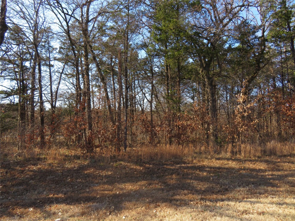 3 Annadale Lane Gordonville TX 76245