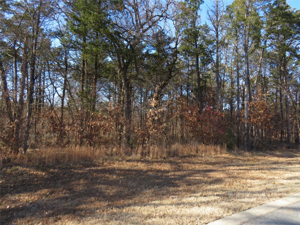 3 Annadale Lane Gordonville TX 76245