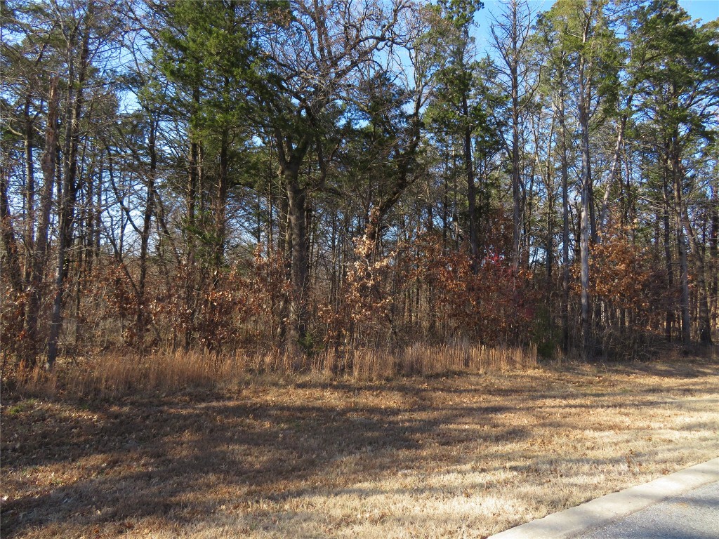 3 Annadale Lane Gordonville TX 76245