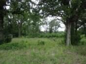 6489 S Fm 779 Alba TX 75140
