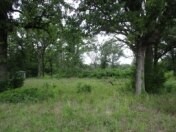 6489 S Fm 779 Alba TX 75140
