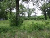 6489 S Fm 779 Alba TX 75140