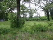 6489 S Fm 779 Alba TX 75140