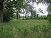 6489 S Fm 779 Alba TX 75140
