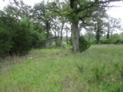 6489 S Fm 779 Alba TX 75140