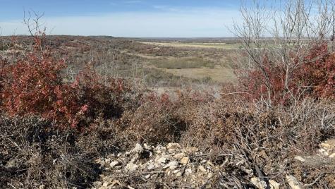 Tbd County Road 436 Rising Star TX 76471