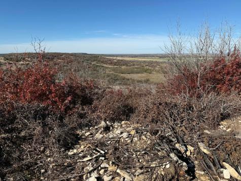 Tbd County Road 436 Rising Star TX 76471