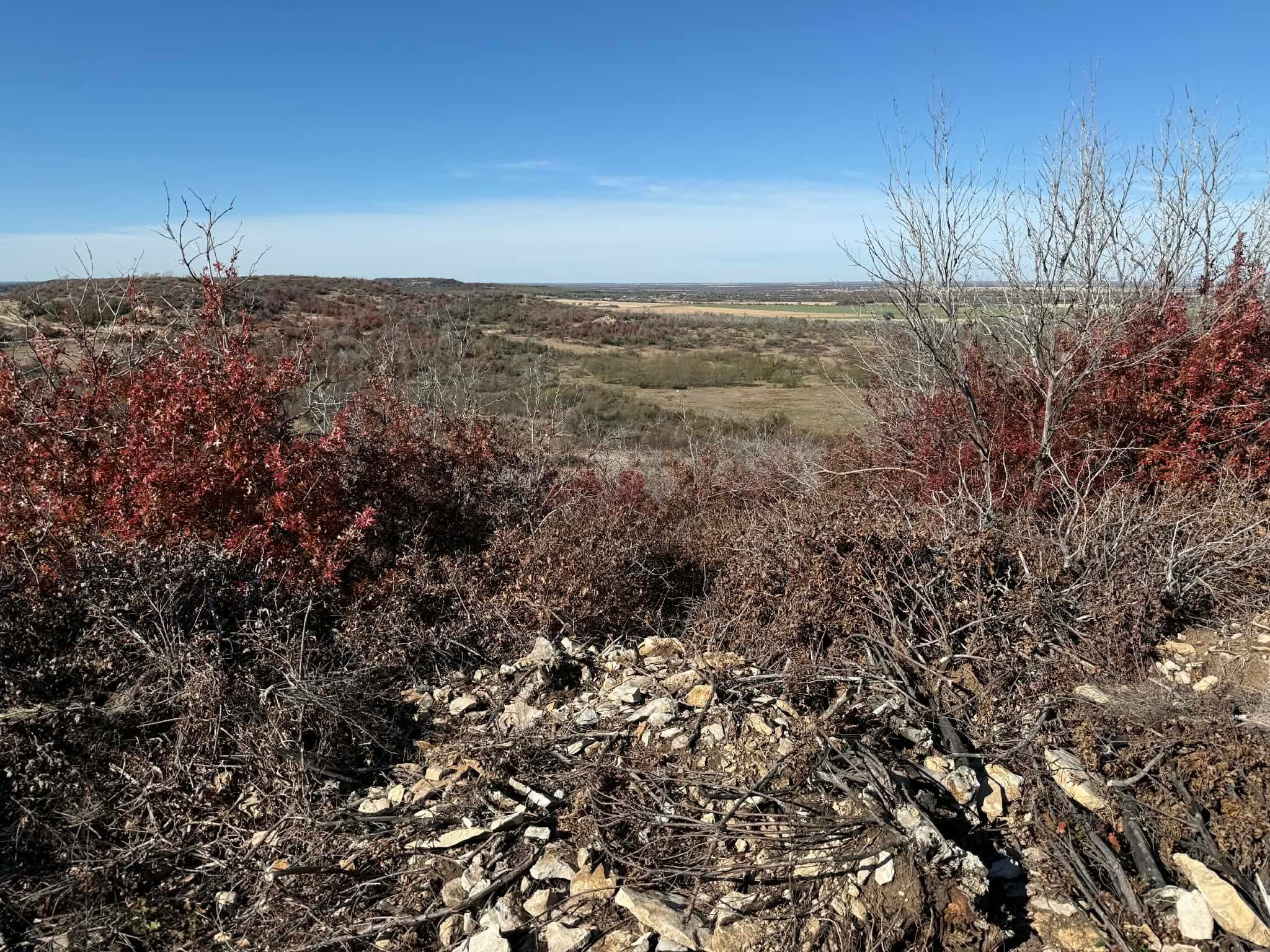 Tbd County Road 436 Rising Star TX 76471