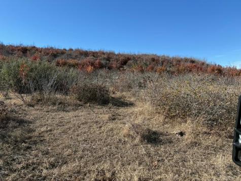 Tbd County Road 436 Rising Star TX 76471