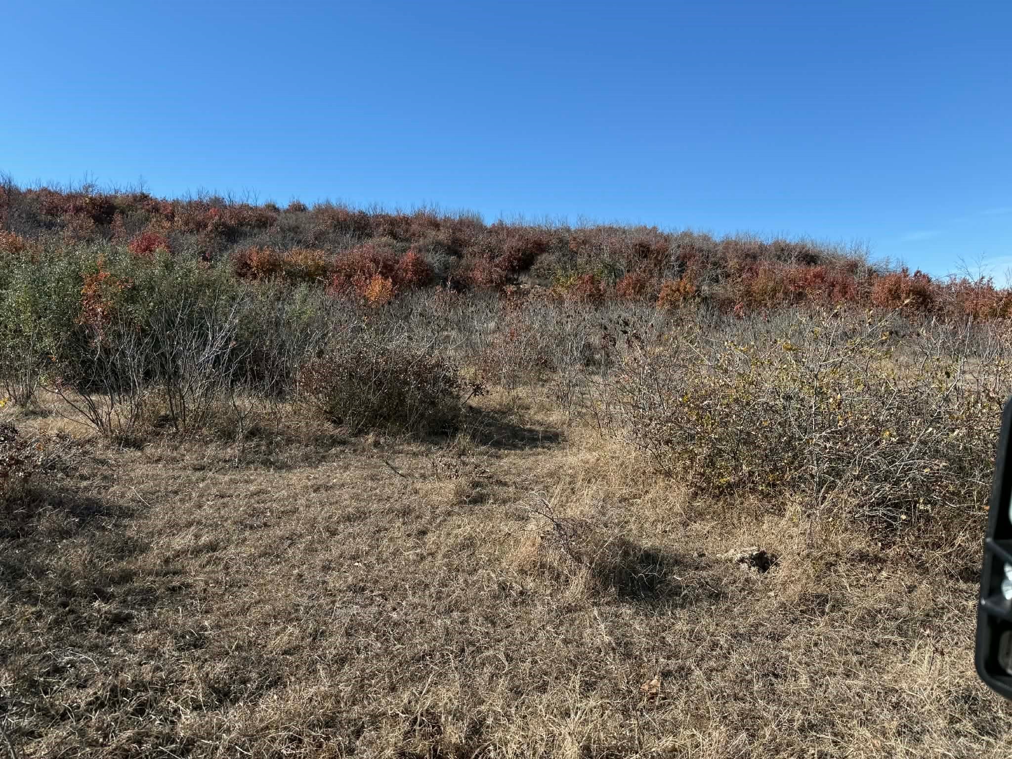 Tbd County Road 436 Rising Star TX 76471
