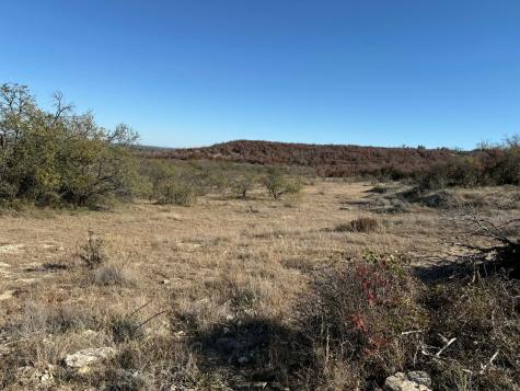 Tbd County Road 436 Rising Star TX 76471