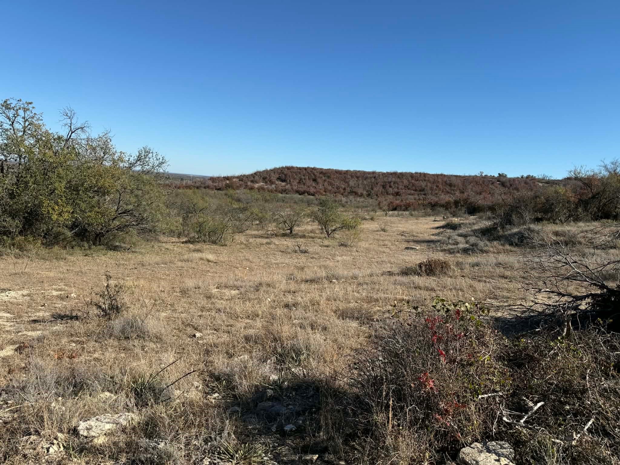 Tbd County Road 436 Rising Star TX 76471