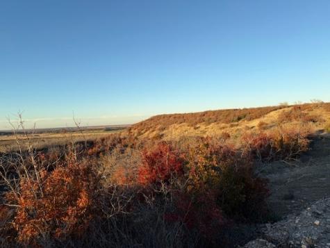 Tbd County Road 436 Rising Star TX 76471