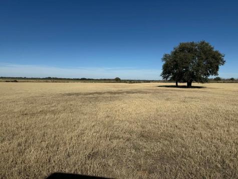 Tbd County Road 436 Rising Star TX 76471