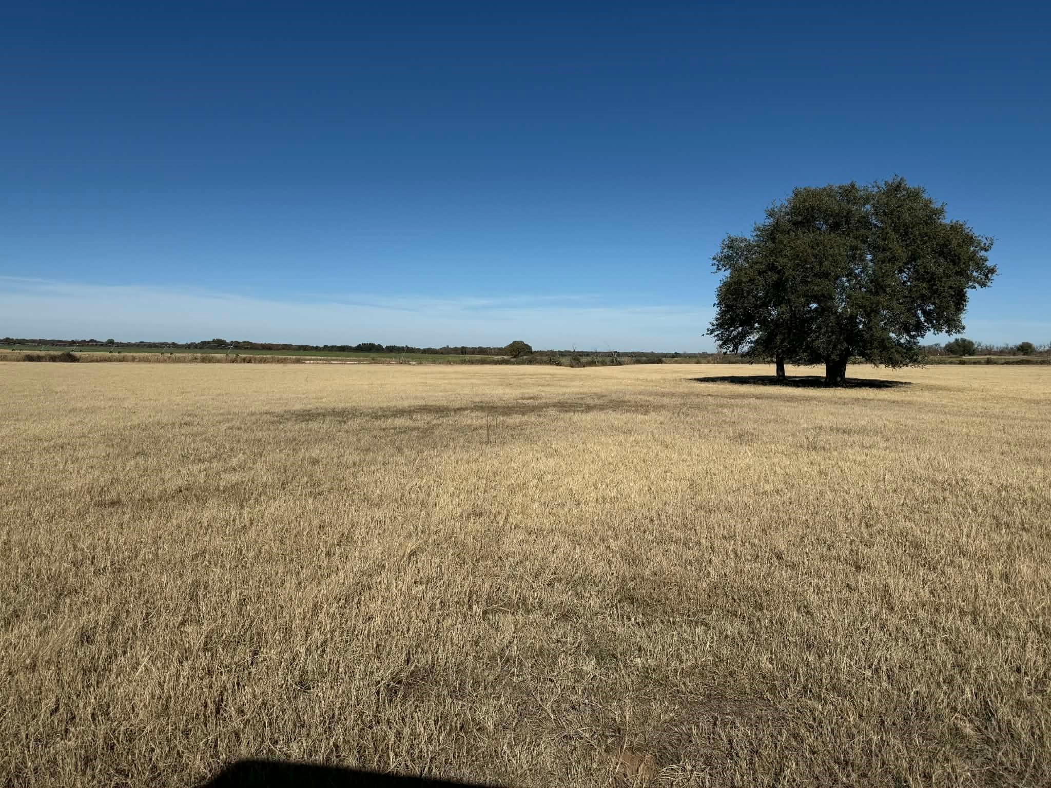 Tbd County Road 436 Rising Star TX 76471